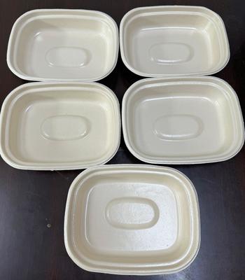 النموذج الأول لمستحضرات المائدة النباتية - حل محايد الكربون للأطباق والأوعية وأوعية اللحوم