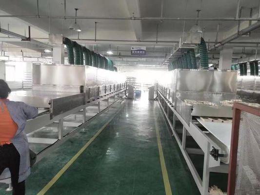 Industrial Microwave Drying Line for Food & Herbs – Continuous Tunnel Design with Customizable Power
