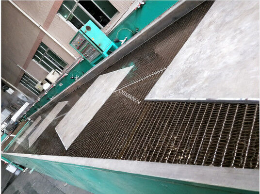 50kg/h Capacity Belt Conveyor System with Automatic Speed Control