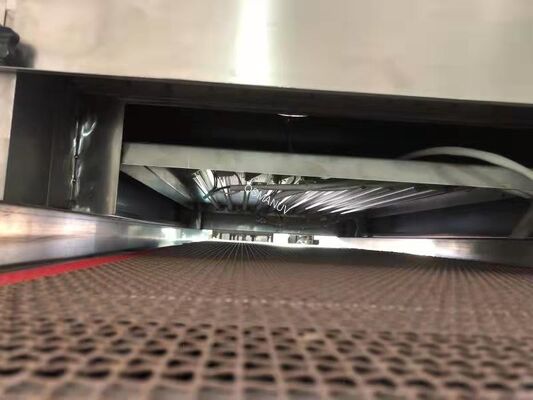 Mesh Belt UV Food Irradiation Machine For Package Board Carton